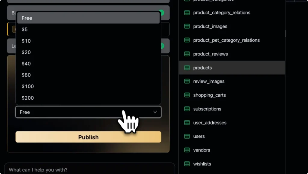 Zoer.ai publish screen with pricing dropdown and “Publish” button—AI app builder monetization for creators.
